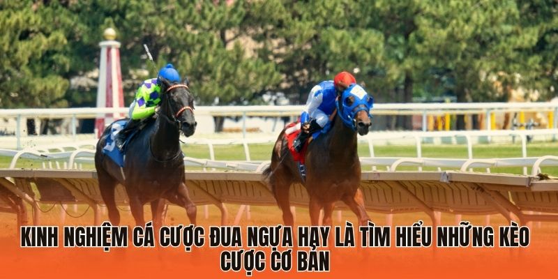 Kinh Nghiệm Cá Cược Đua Ngựa Giúp Tân Binh Tăng “Level” 2 Kinh nghiệm cá cược đua ngựa hay là tìm hiểu những kèo cược cơ bản